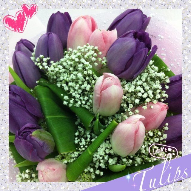 Happy Valentines!