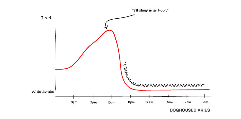 DogHouseDiaries
