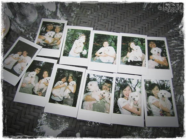 20101128-Polaroids