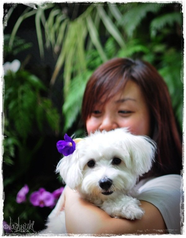 20101128-Suki