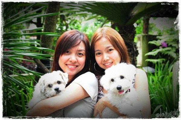 20101128-Sukirony