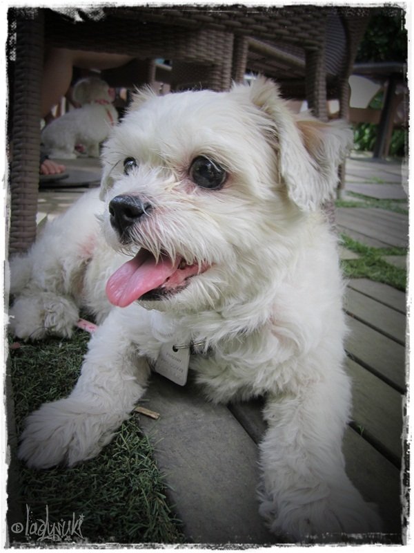 20101128-Xena2