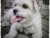 thumbs_20101128-Xena2