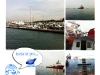 thumbs_201110-PailOnShip