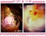thumbs_BuddyHoagies-Desserts